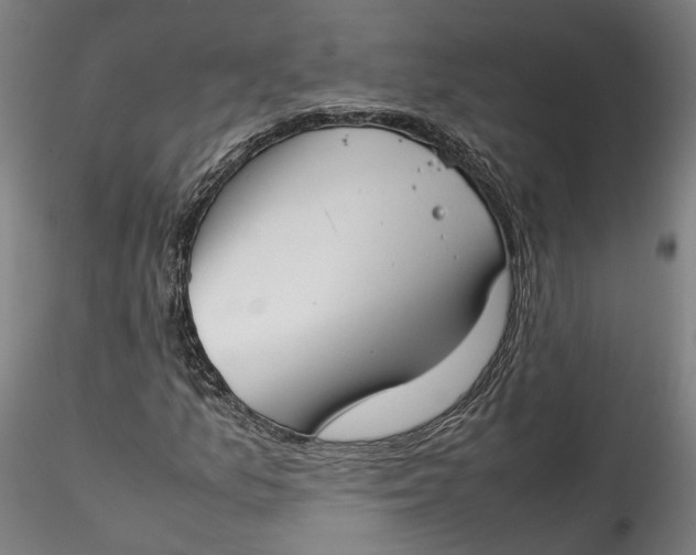 X0000115541157200911271403