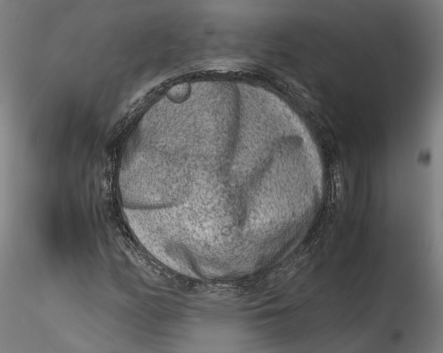 X0000115541158200911271403