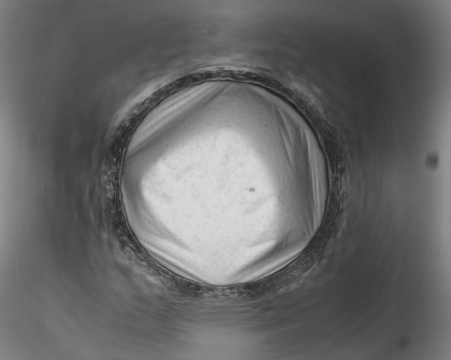 X0000115541159200911271403