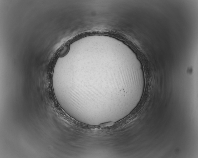 X0000115541160200911271403