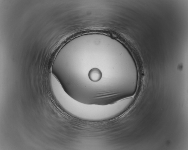 X0000115541161200911271403