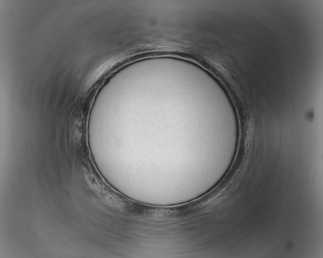 X0000115541163200911271403