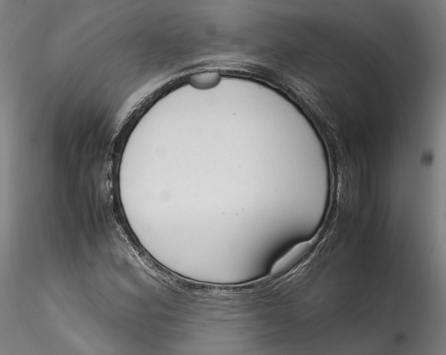 X0000115541164200911271403