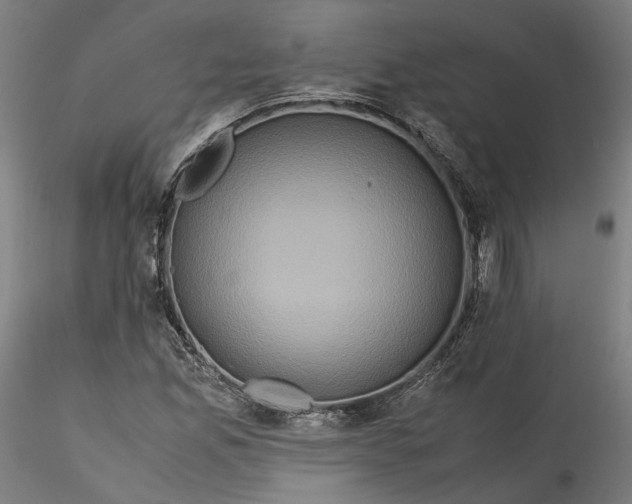 X0000115541165200911271403