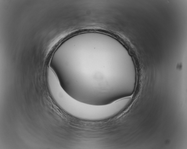 X0000115541167200911271403