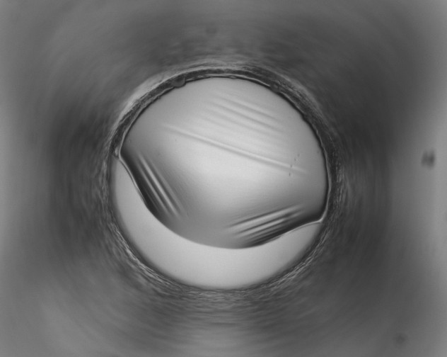 X0000115541168200911271403