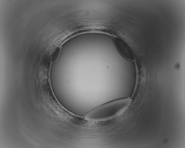 X0000115541169200911271403