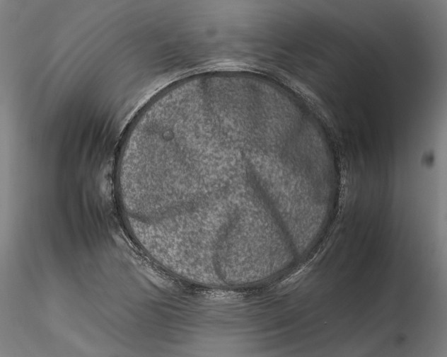 X0000115541170200911271403