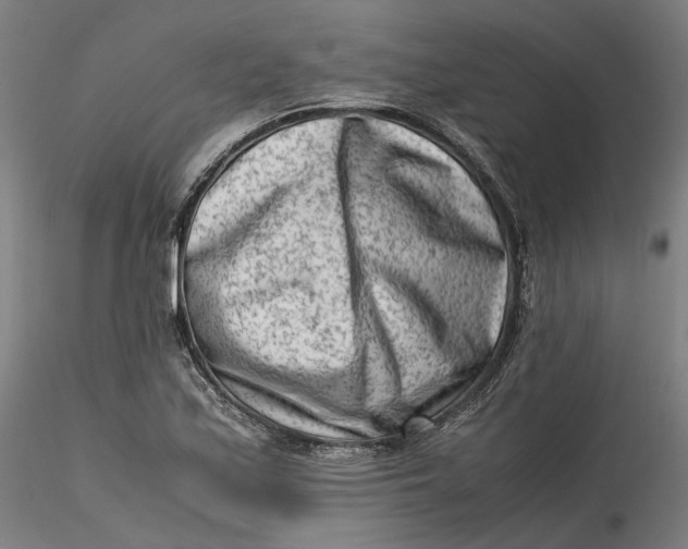 X0000115541171200911271403