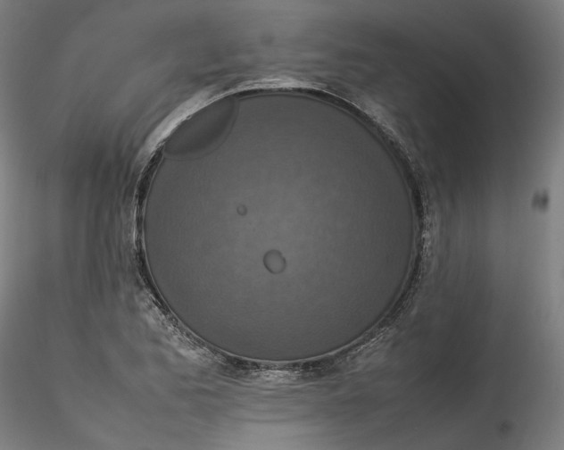 X0000115541173200911271403