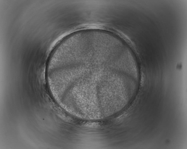 X0000115541174200911271403