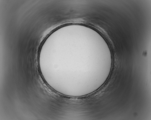 X0000115541176200911271403