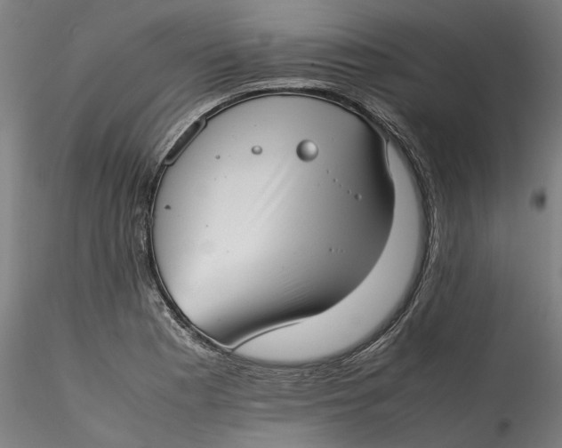 X0000115541177200911271403