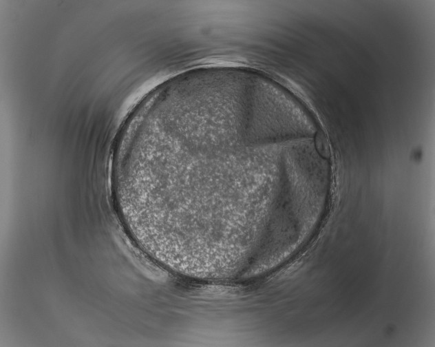 X0000115541179200911271403