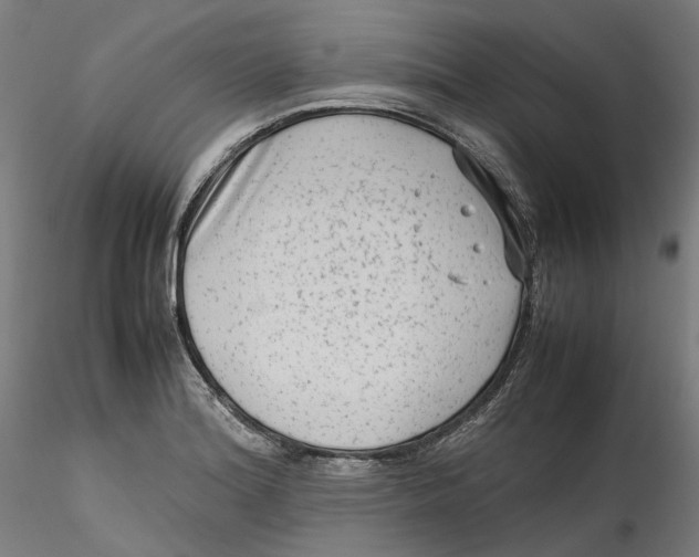 X0000115541180200911271403