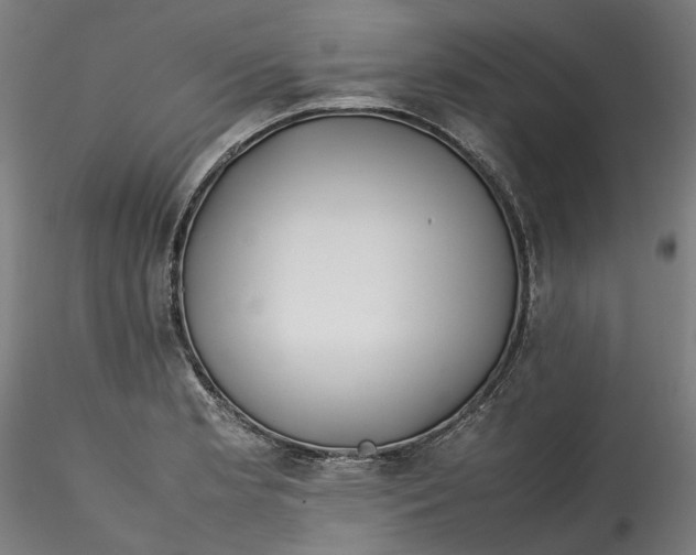 X0000115541181200911271403