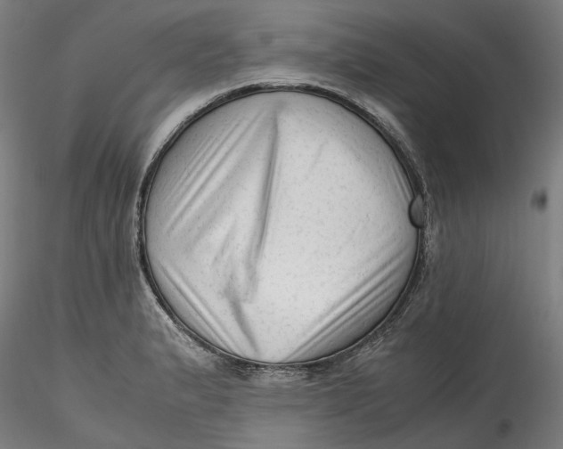 X0000115541183200911271403