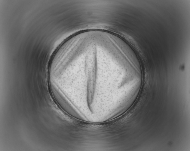 X0000115541184200911271403