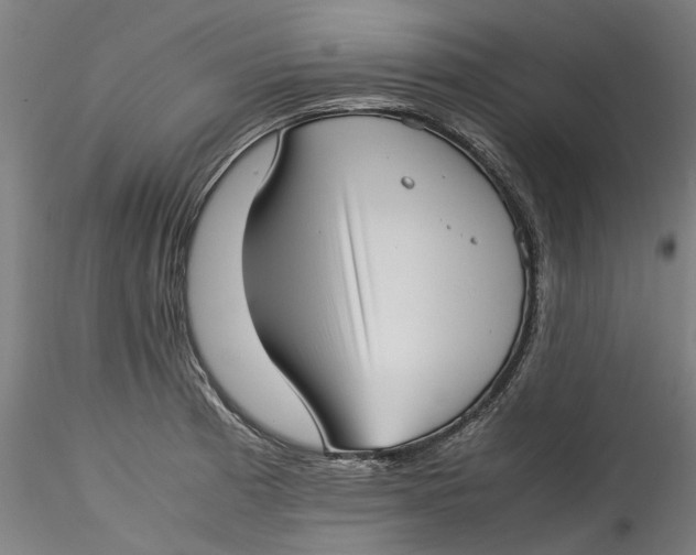 X0000115541185200911271403