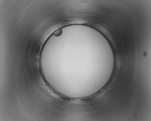 X0000115541186200911271403