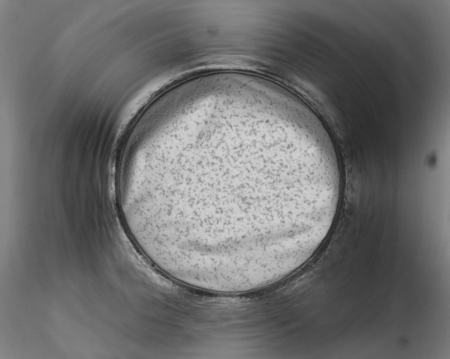 X0000115541188200911271403