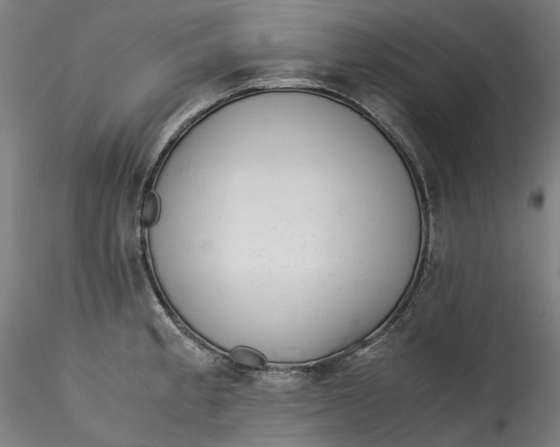 X0000115541189200911271403