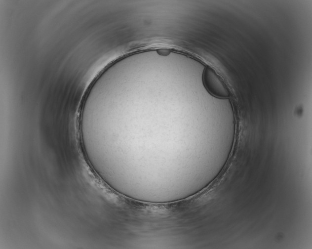 X0000115541190200911271403