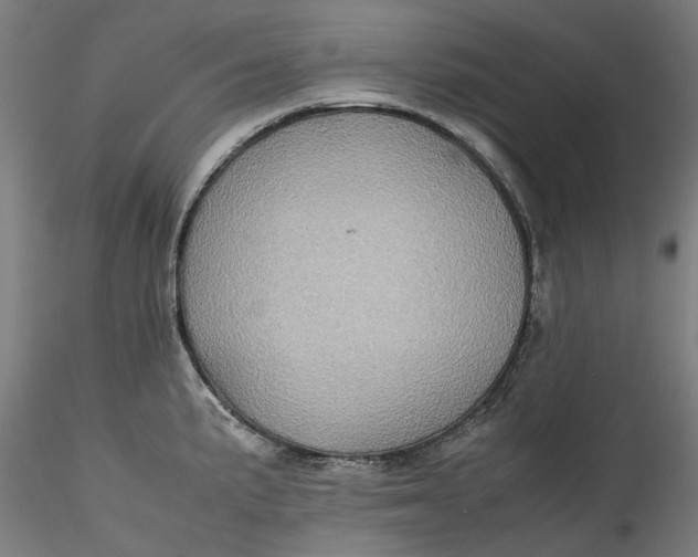 X0000115541191200911271403