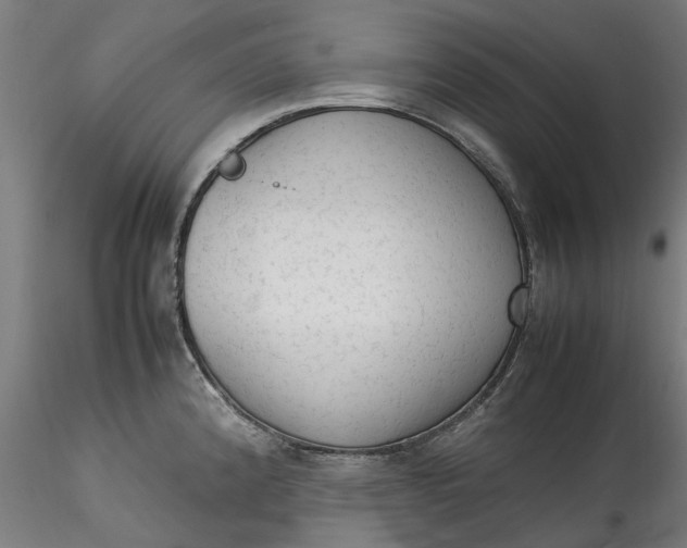 X0000115541192200911271403