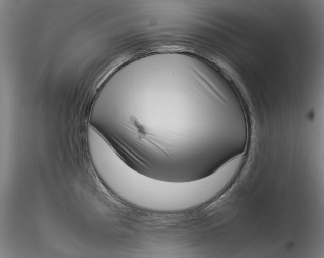 X0000115541193200911271403