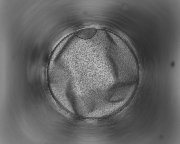 X0000115541194200911271403