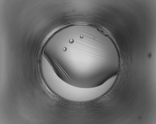 X0000115541195200911271403