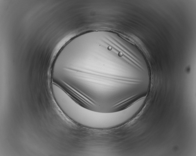 X0000115541196200911271403