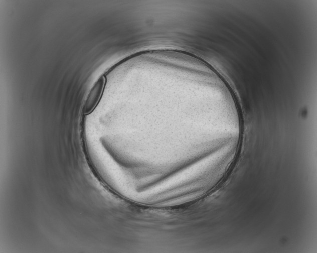 X0000115541197200911271403