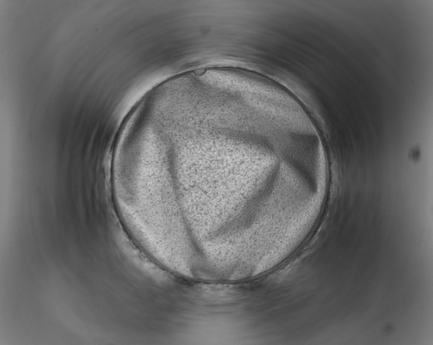 X0000115541198200911271403