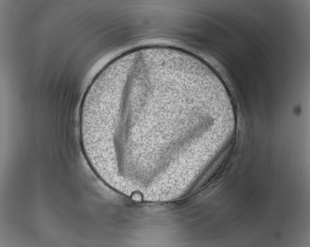 X0000115541199200911271403