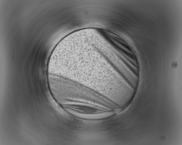 X0000115541200200911271403