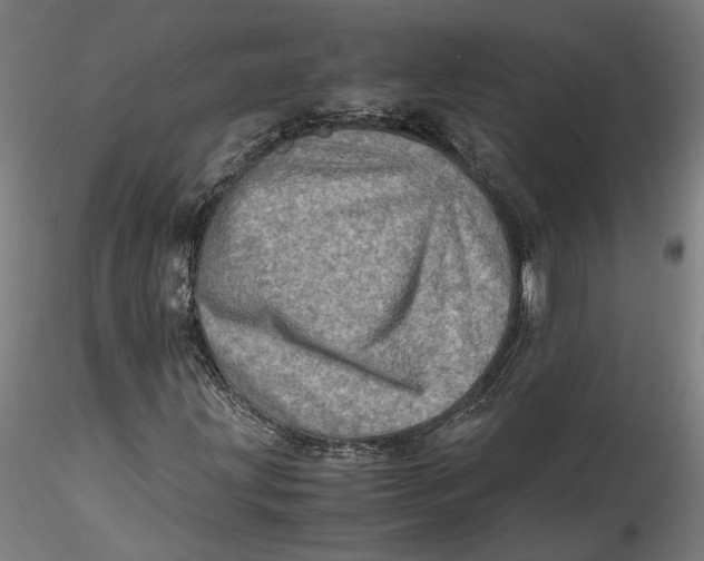 X0000115541203200911271402