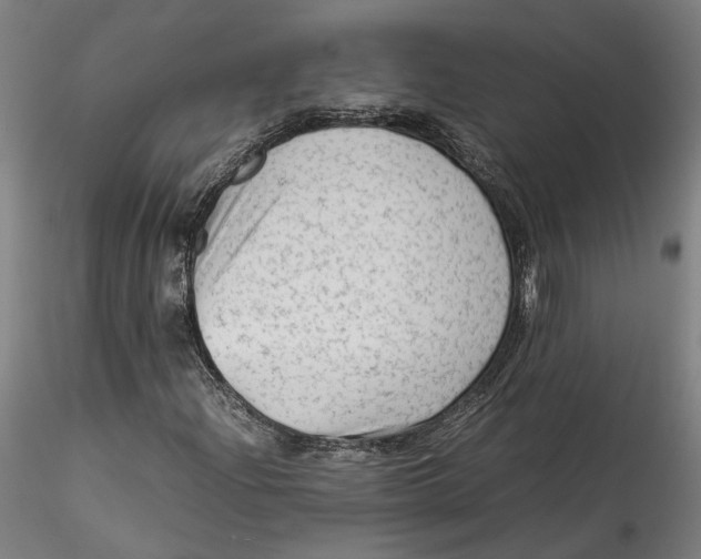 X0000115541204200911271402