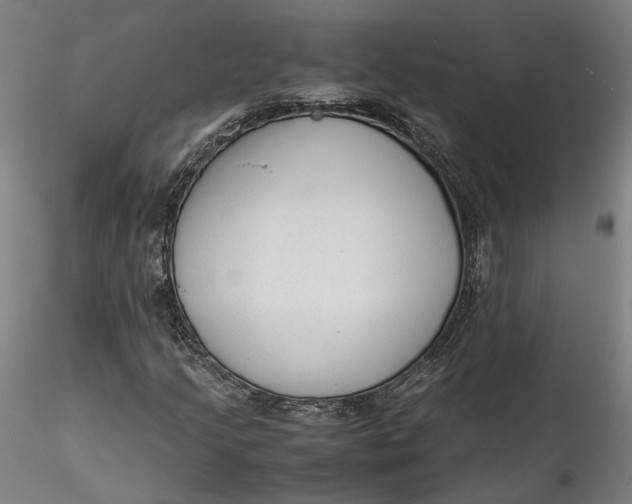 X0000115541205200911271402