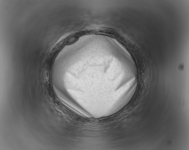 X0000115541206200911271402