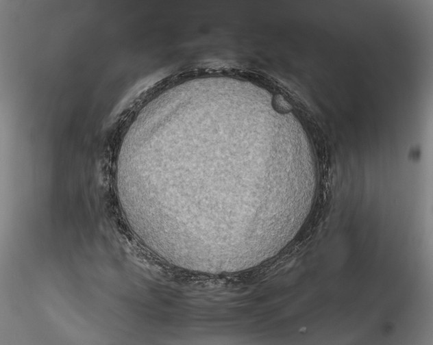 X0000115541207200911271402