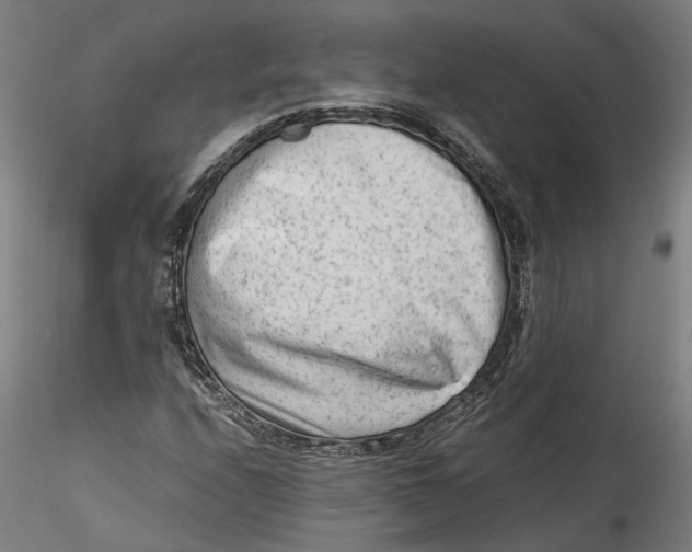 X0000115541208200911271402