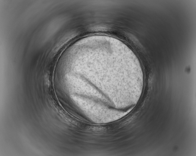 X0000115541209200911271402