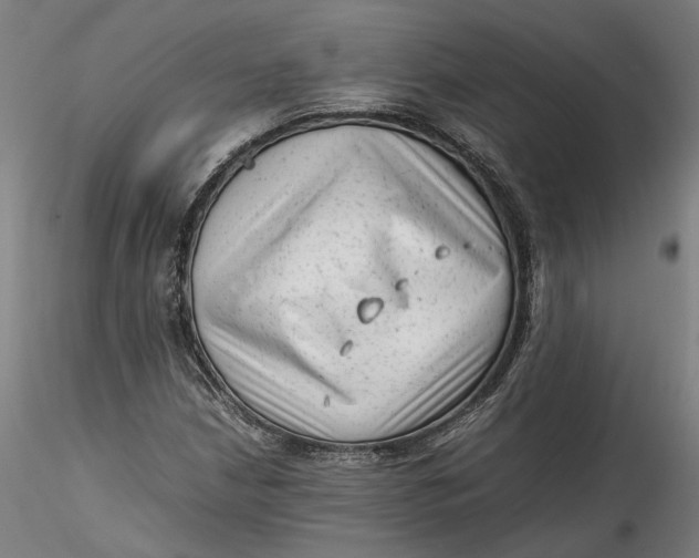 X0000115541210200911271402