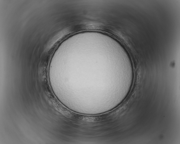 X0000115541211200911271402