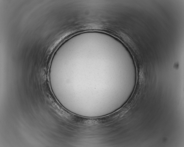 X0000115541212200911271402