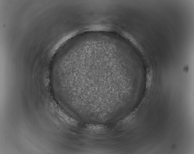 X0000115541213200911271402