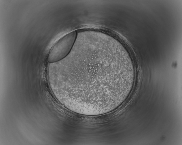 X0000115541215200911271402