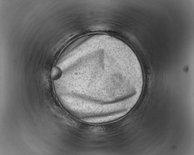 X0000115541217200911271402